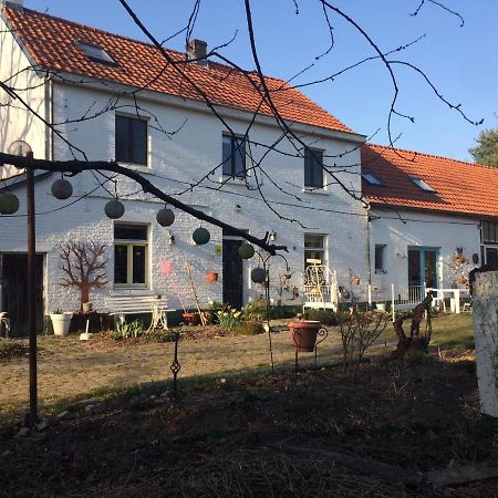 Slaaphuisje Het Vliegend Varken Genk Bagian luar foto